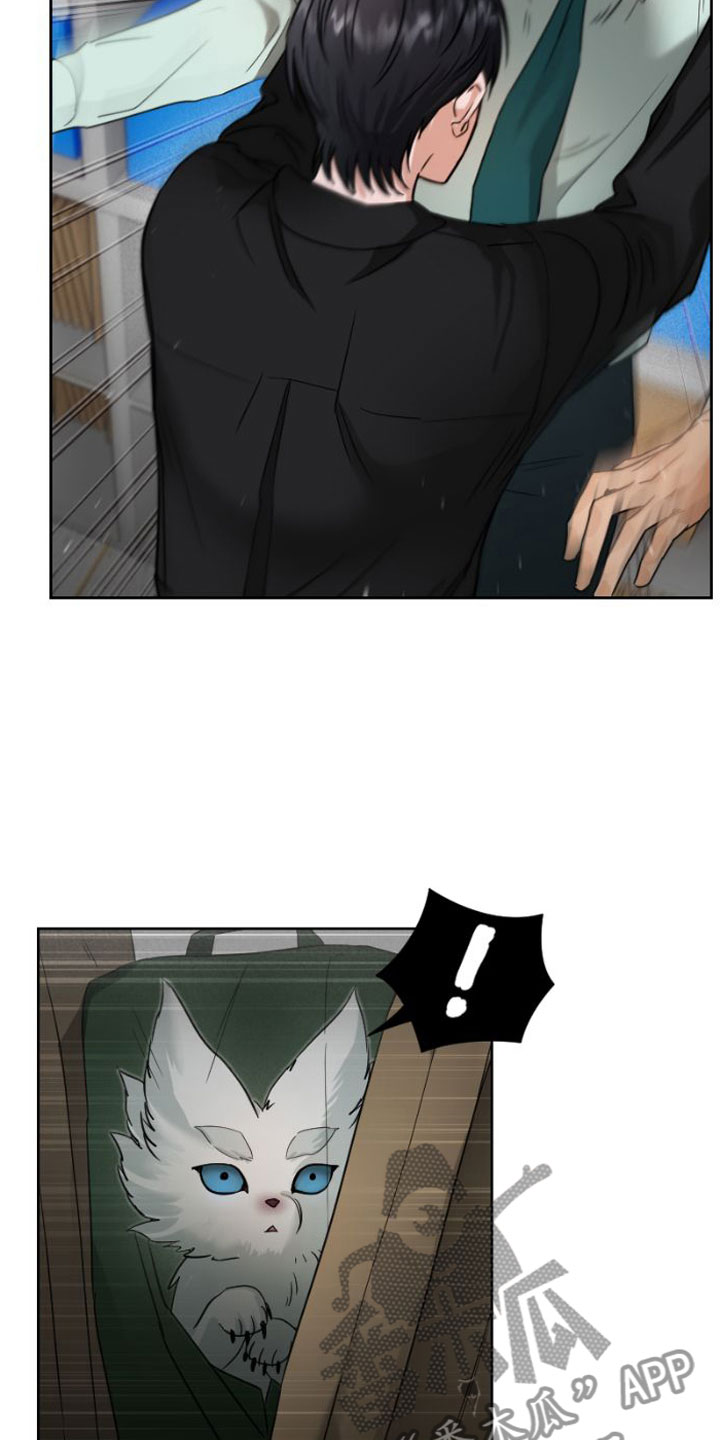 第9章：吻19