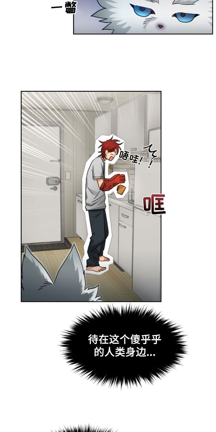 第15章：真是不爽13