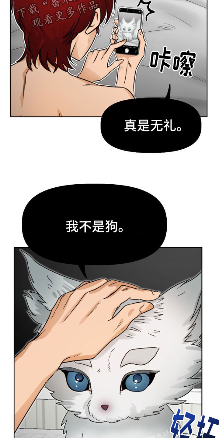 第5章：违背9