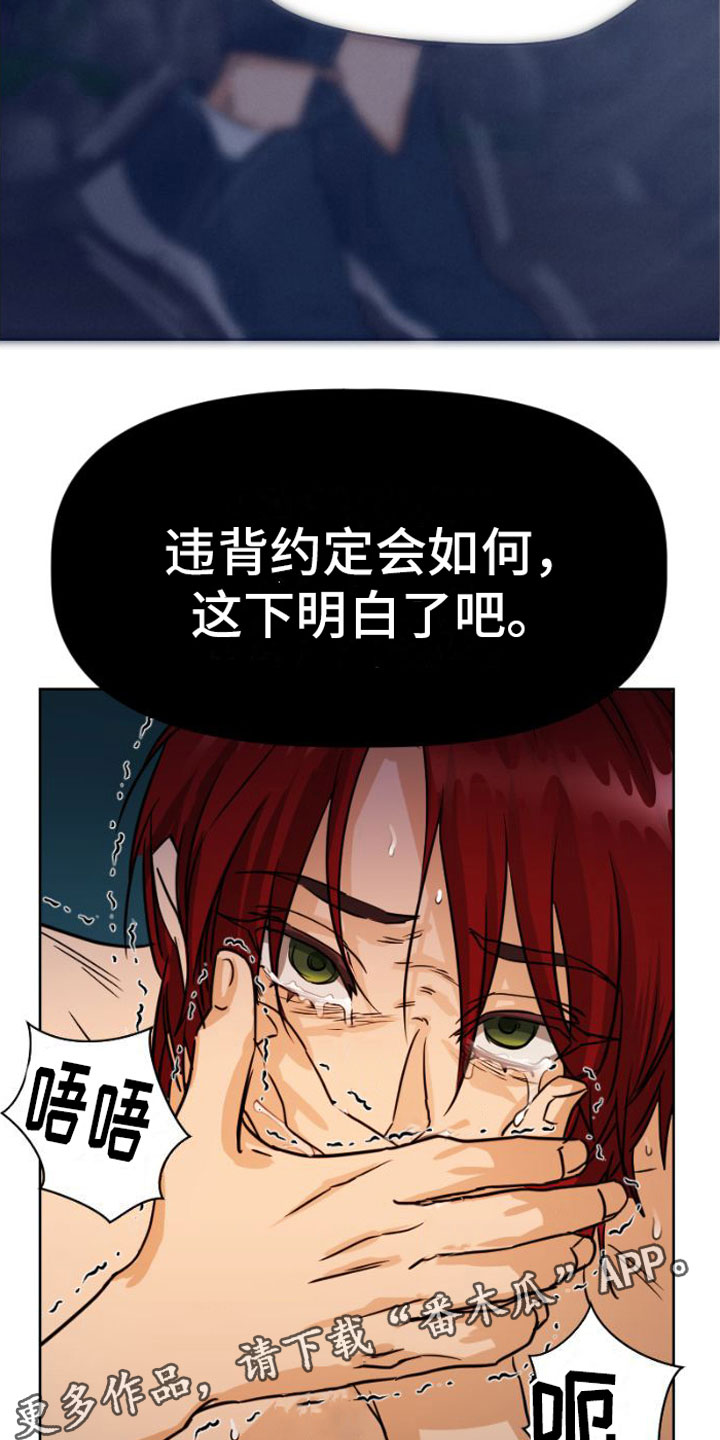 第5章：违背28