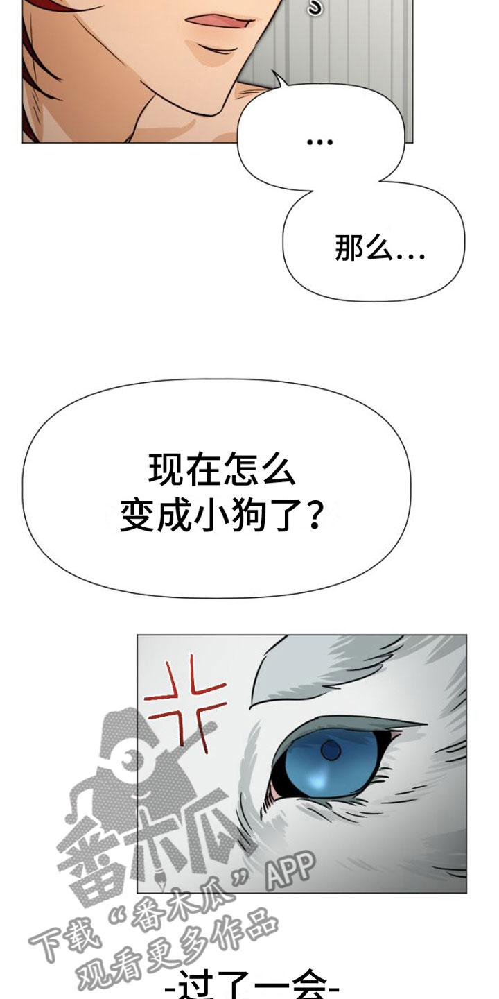 第5章：违背18