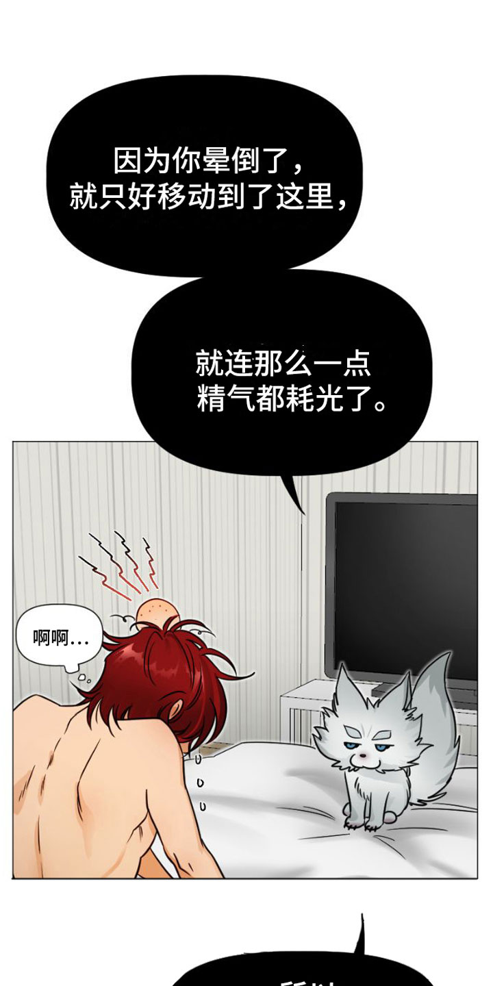 第5章：违背20