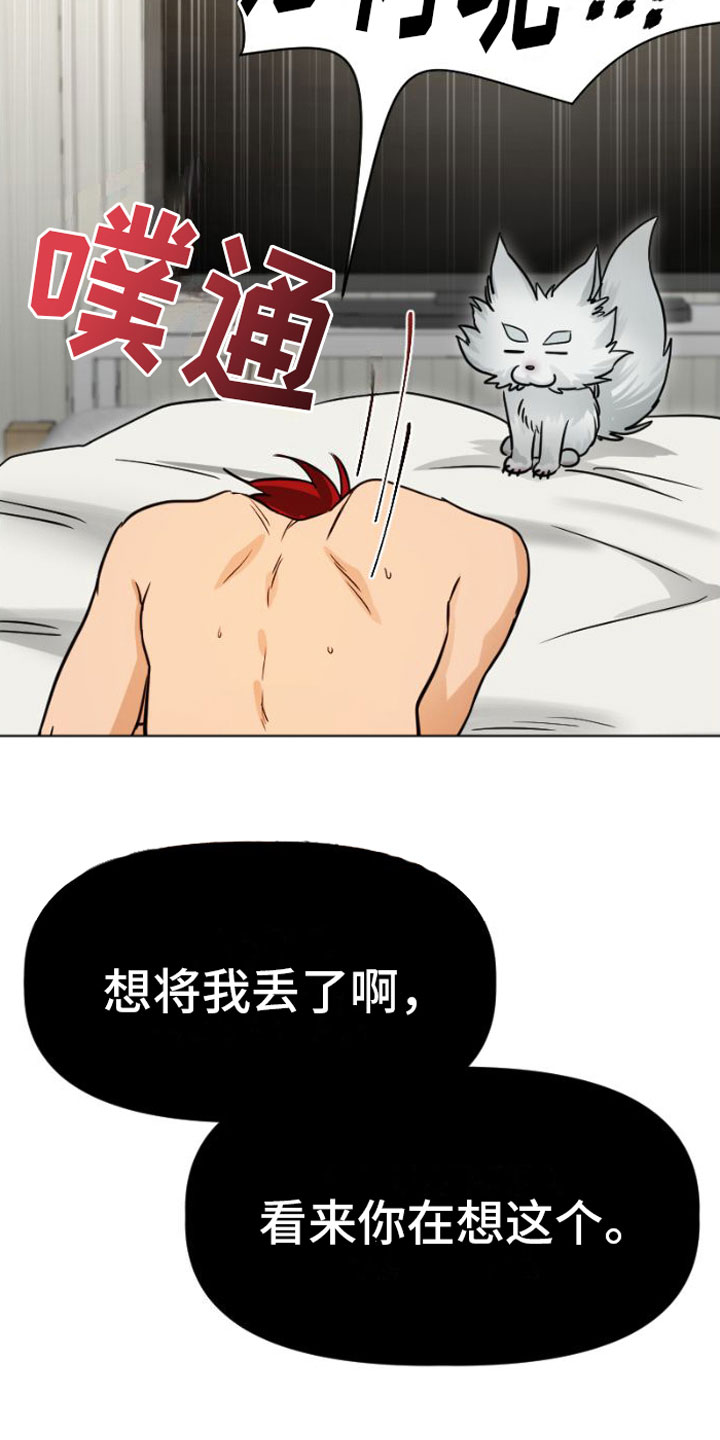 第5章：违背24