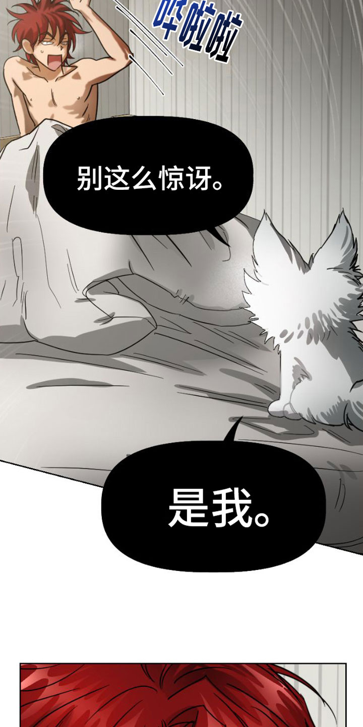 第5章：违背7