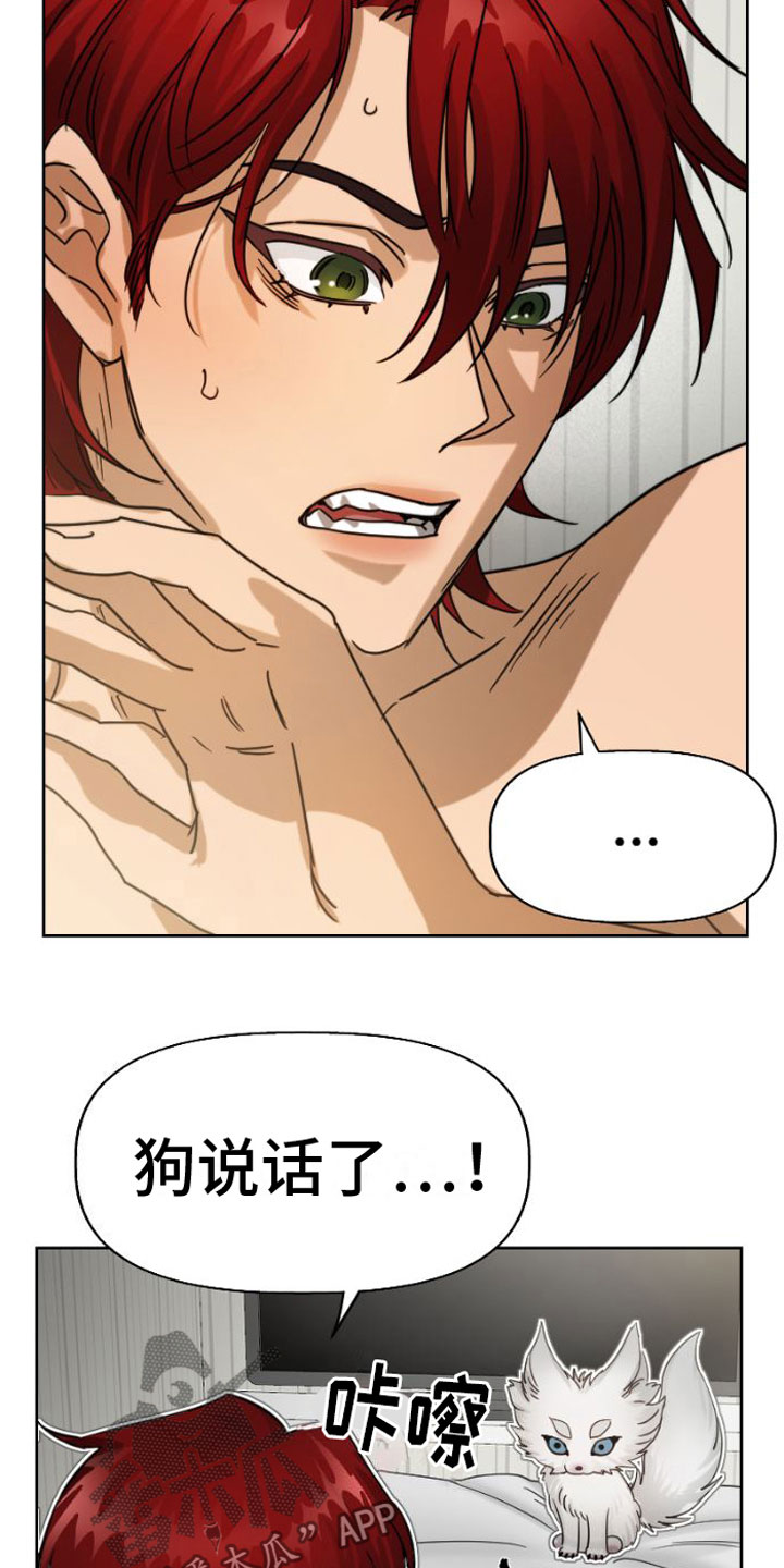 第5章：违背8