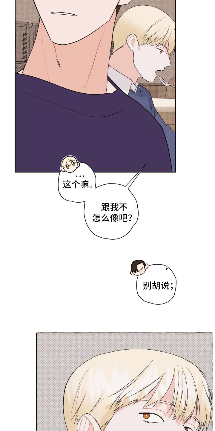 第6章：关注15