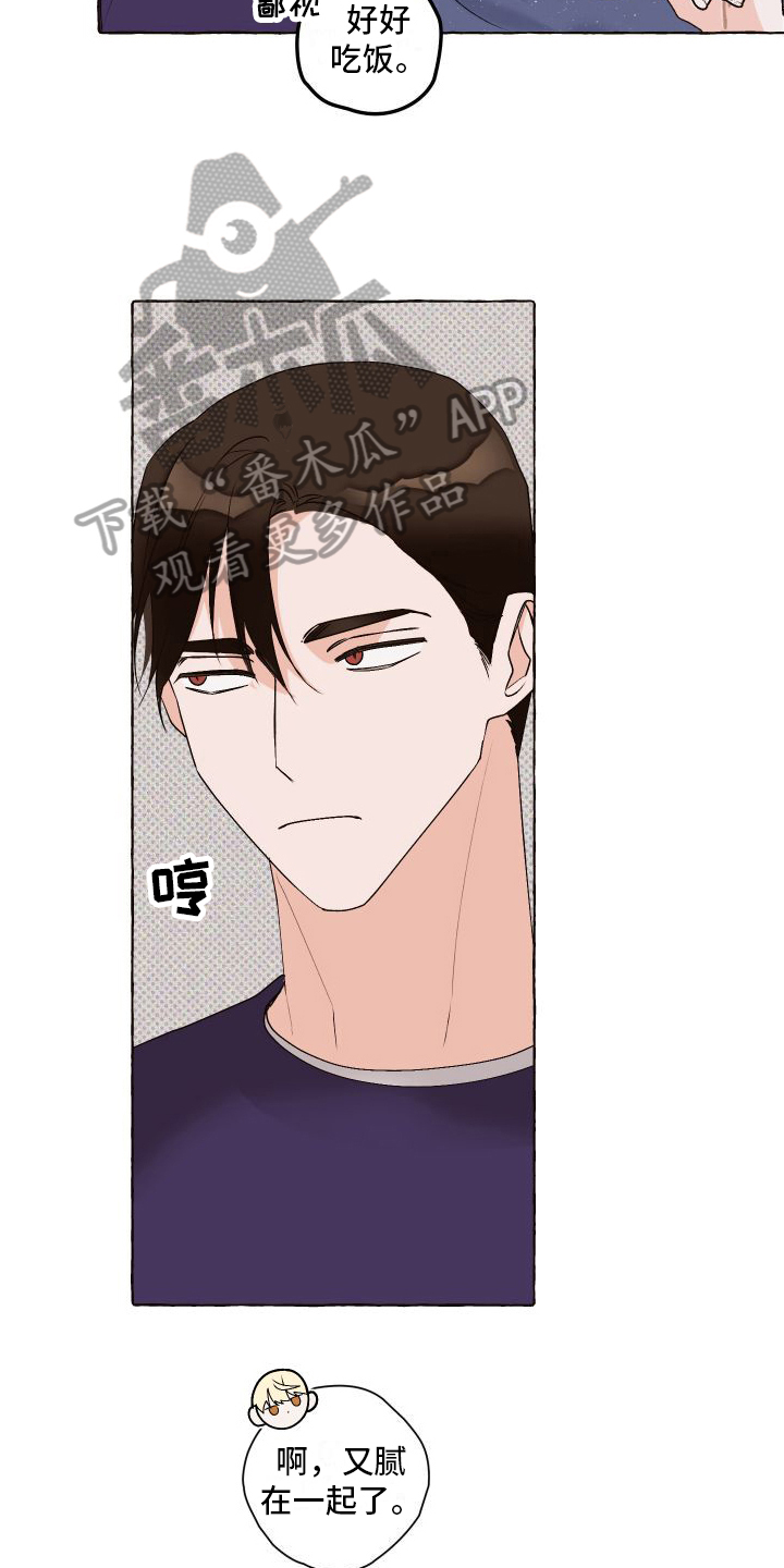 第6章：关注13