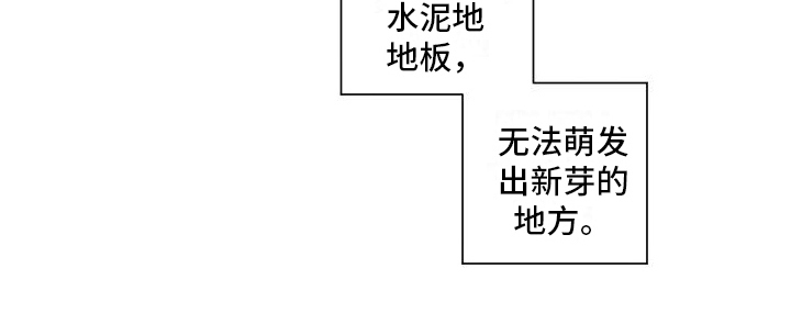 第9章：赴会12