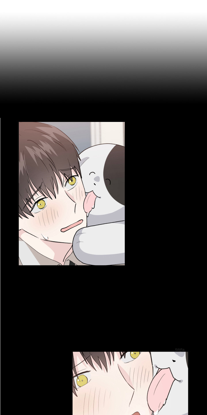 第16章：猜测4