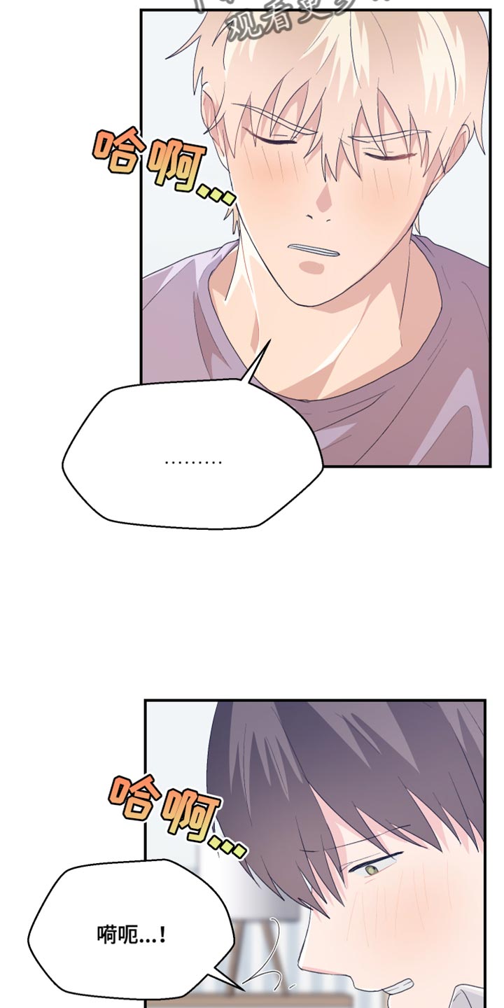 第42章：可爱的小狗13