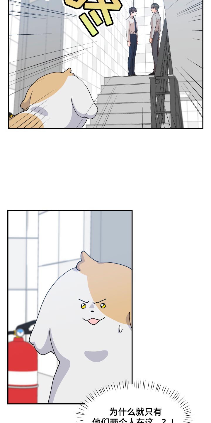 第17章：尾巴7