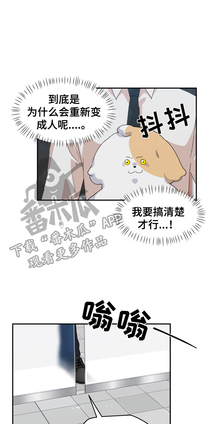 第15章：疑惑 14