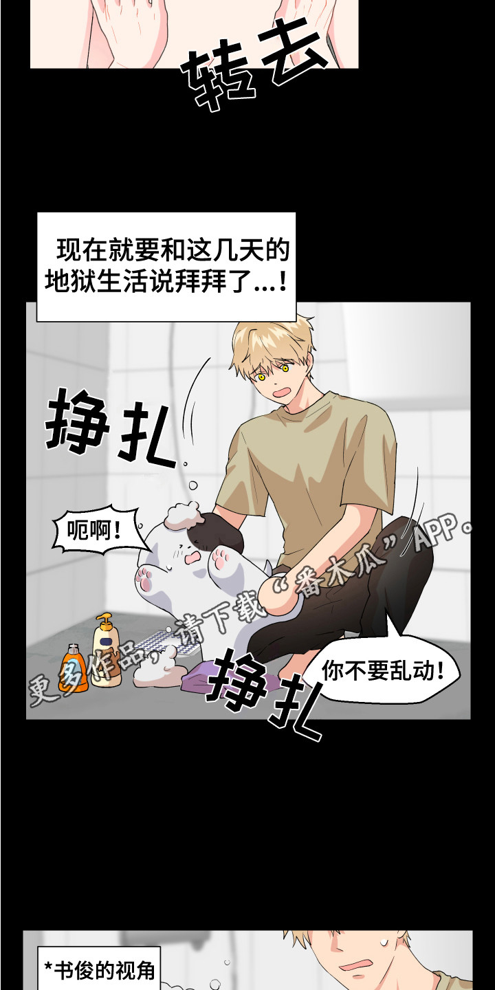第14章：摔倒10