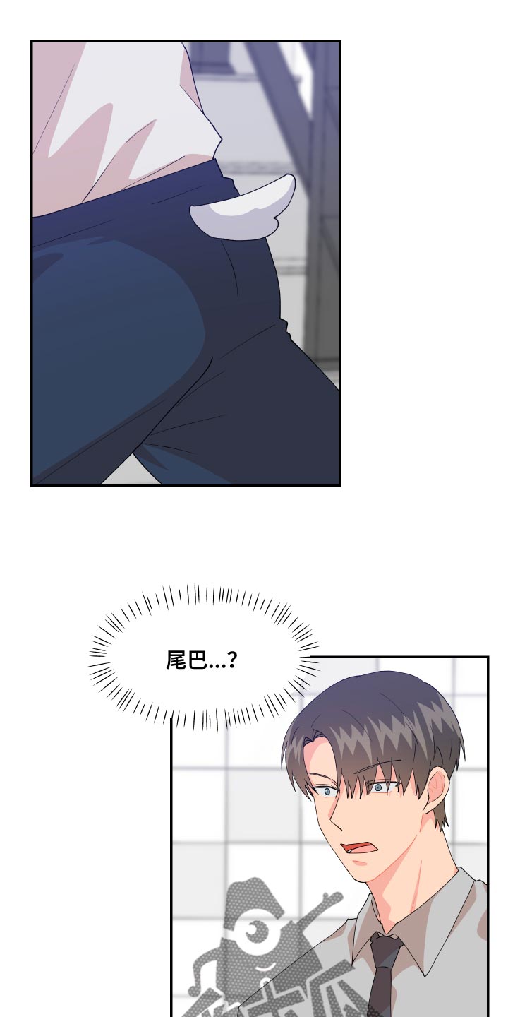 第17章：尾巴19