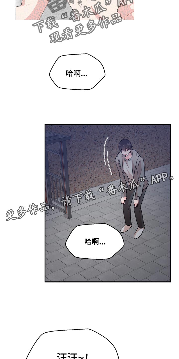 第24章：寻找23