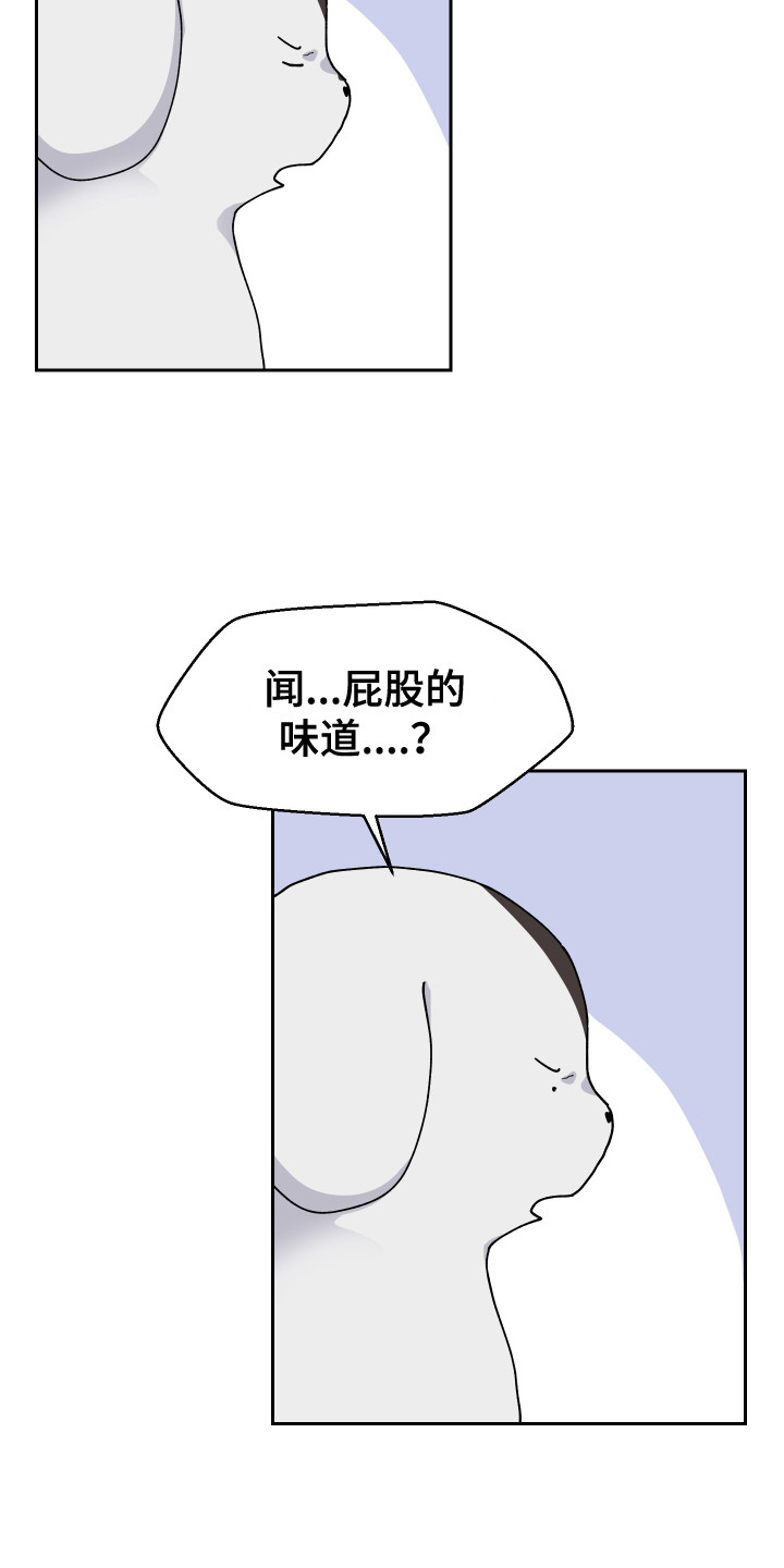 第11章：异常举动15
