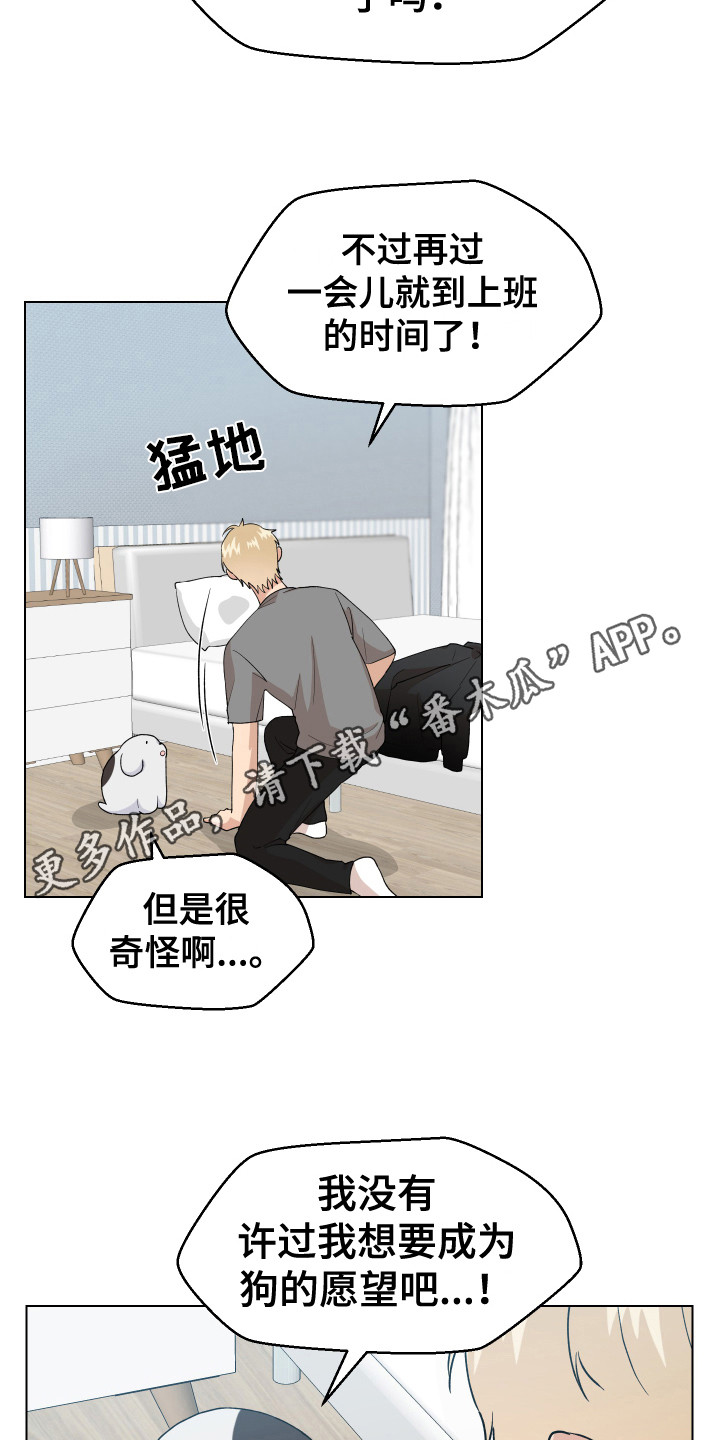 第5章：愿望9