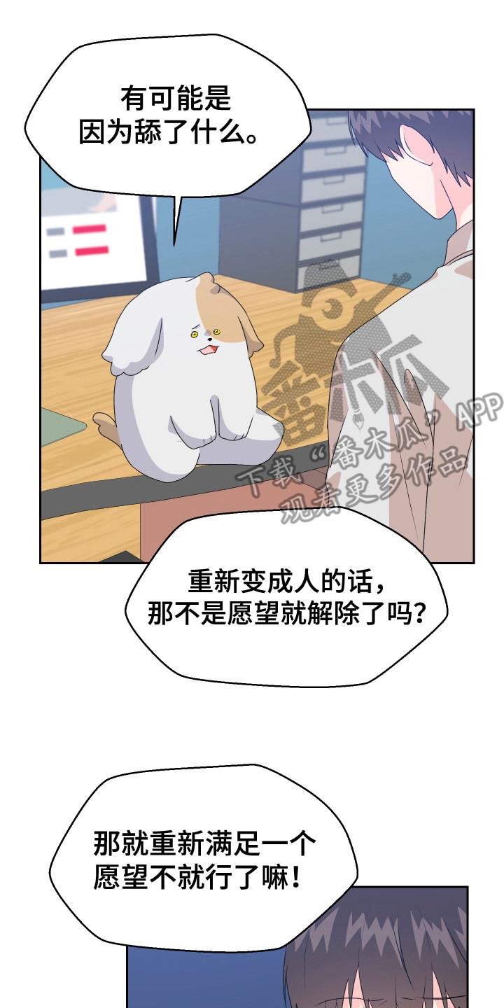 第16章：猜测6
