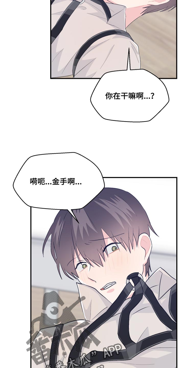 第42章：可爱的小狗15