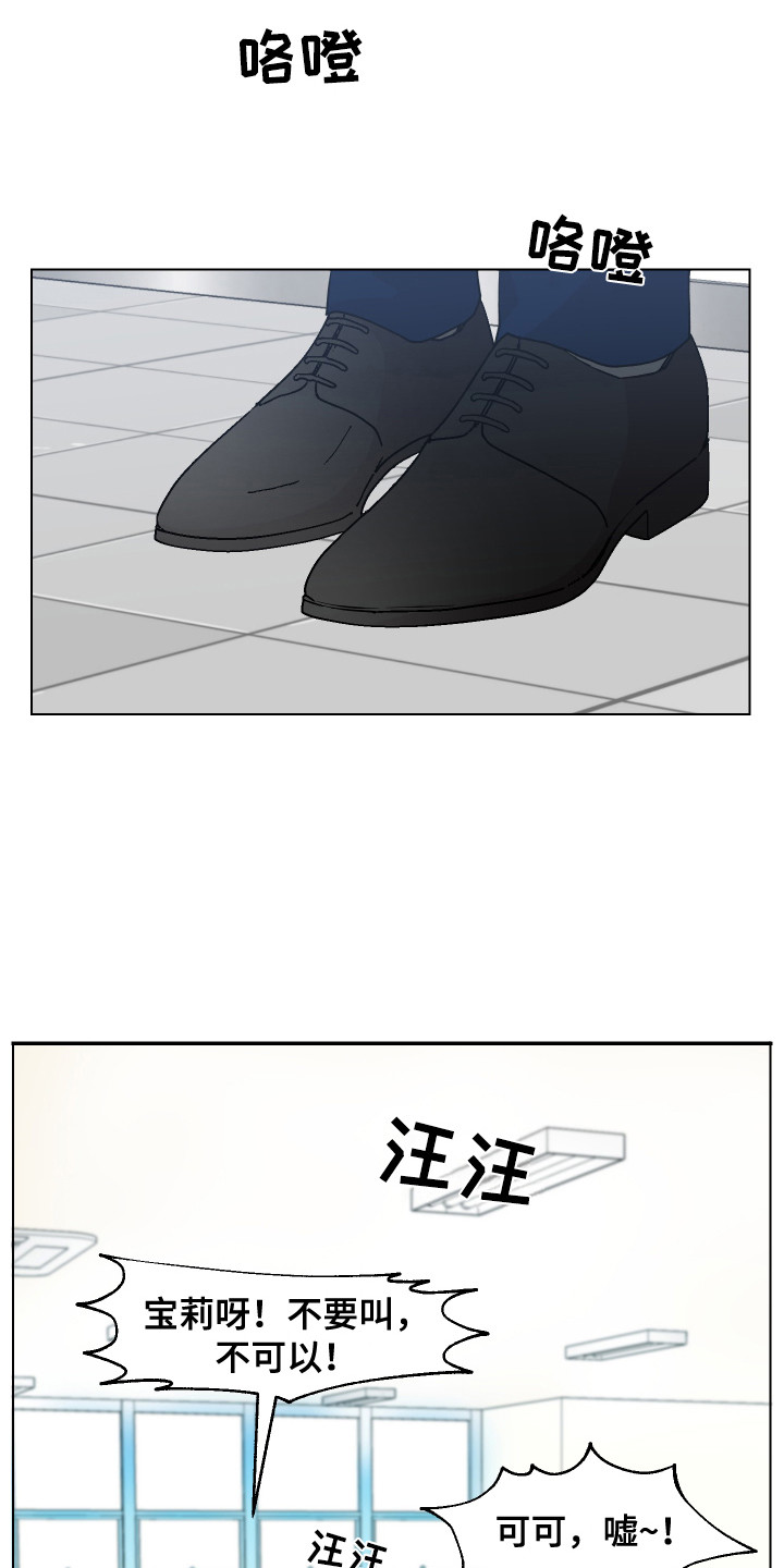 第2章：宠物公司7
