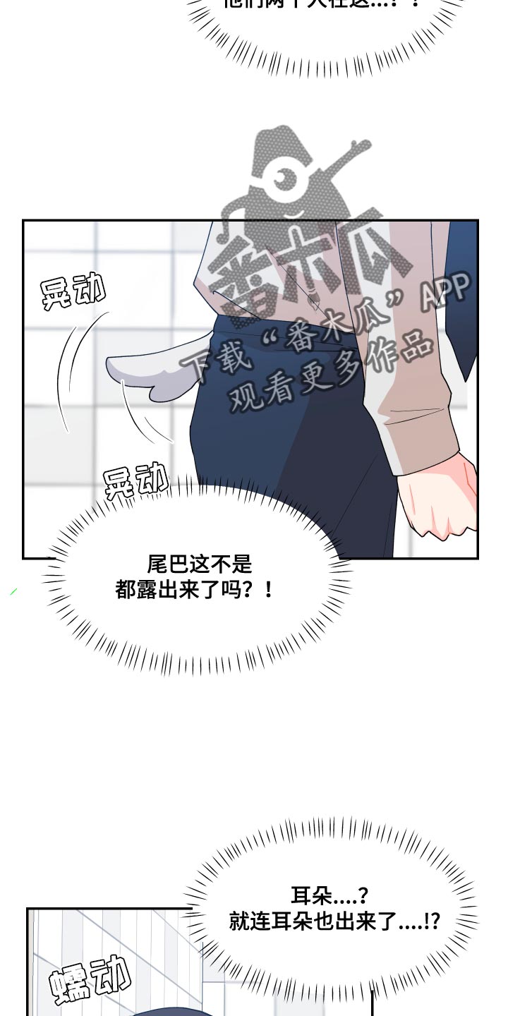 第17章：尾巴8