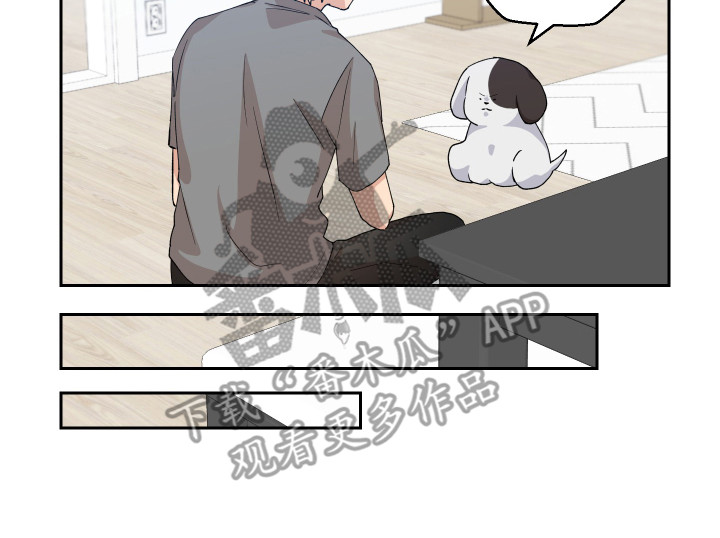 第11章：异常举动19