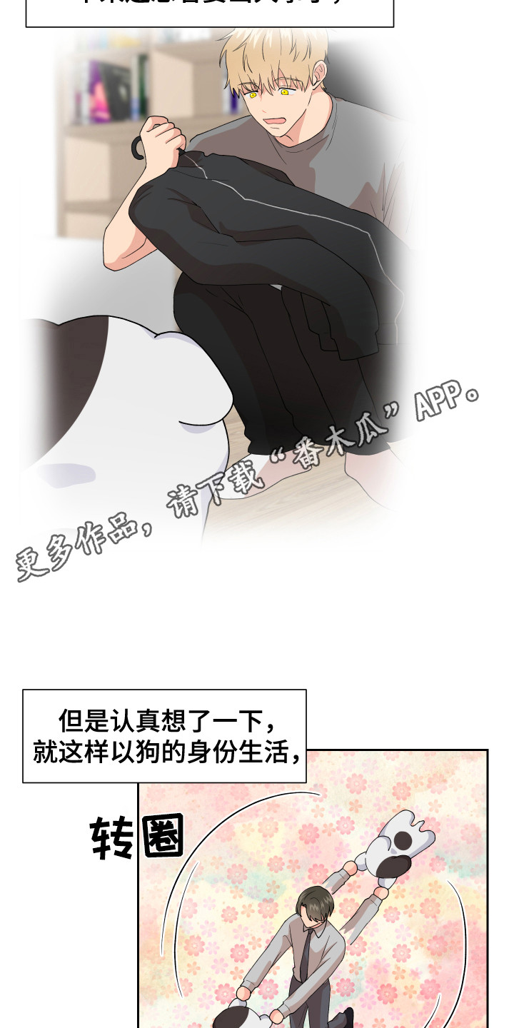 第7章：脸红 4