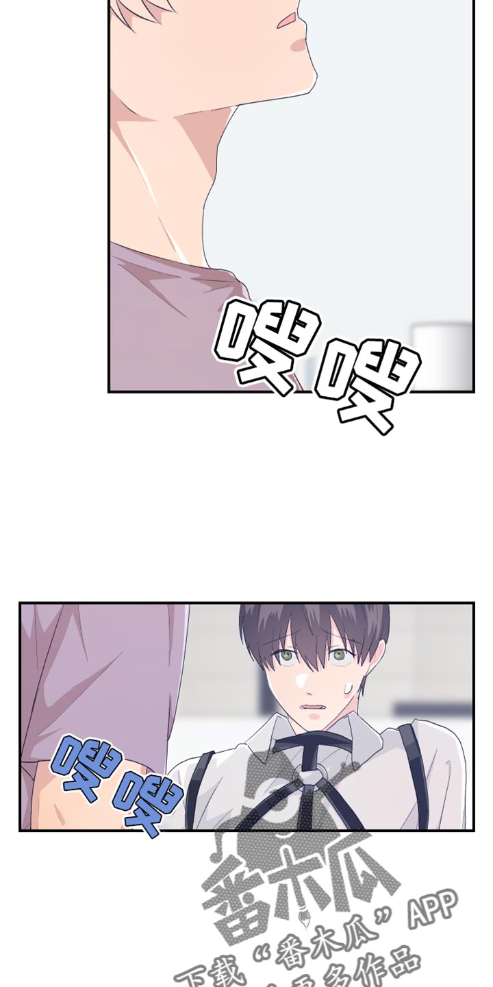第42章：可爱的小狗12