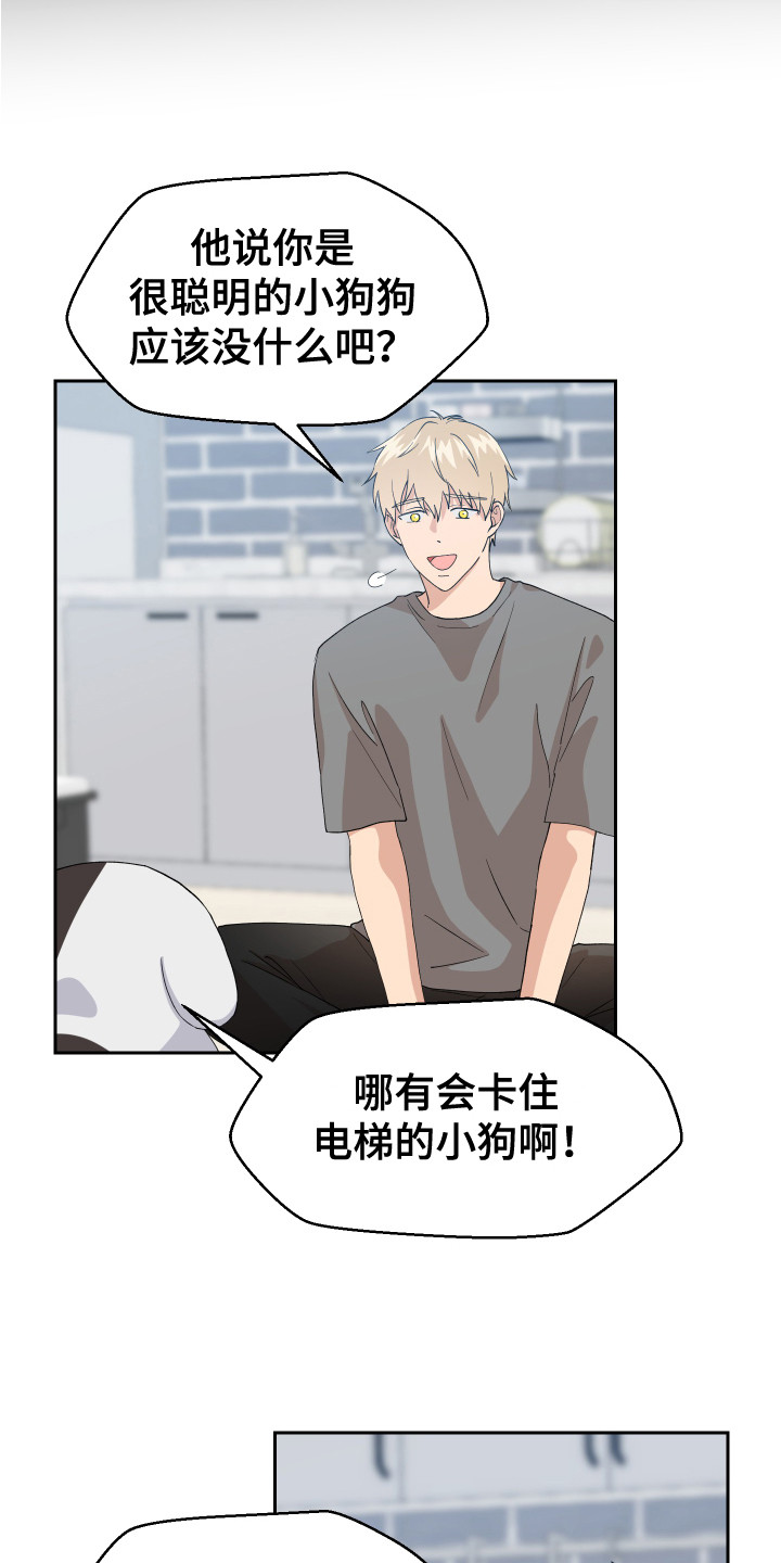 第11章：异常举动12