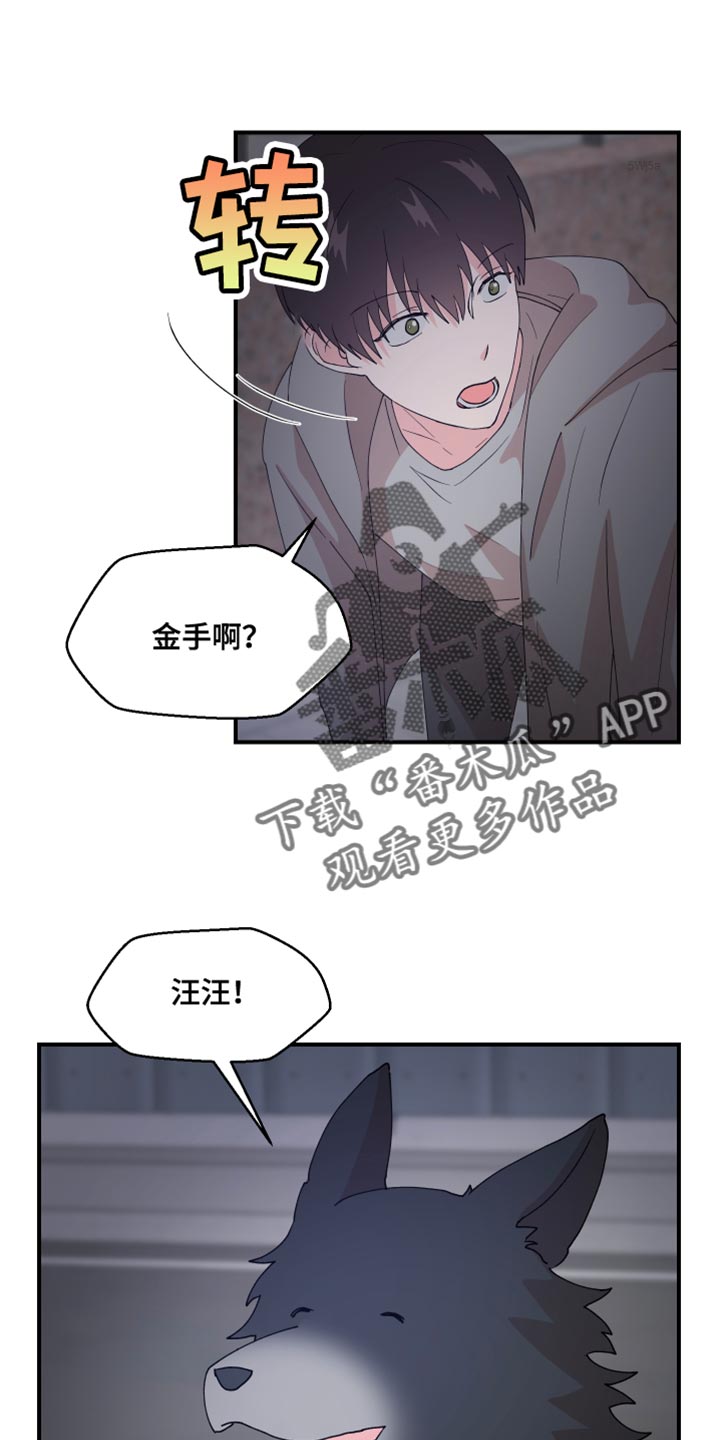 第25章：垃圾0