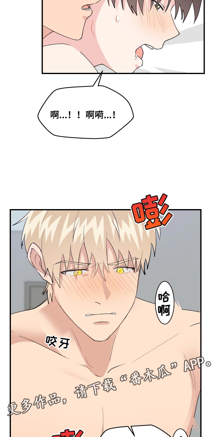 第22章：要不要试一下12