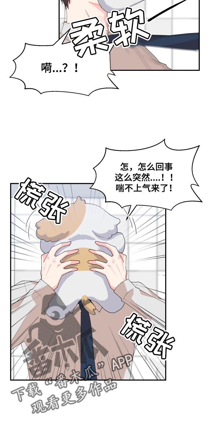 第17章：尾巴14