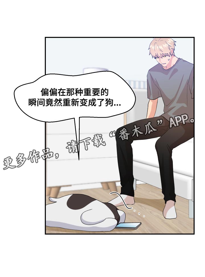 第17章：尾巴22