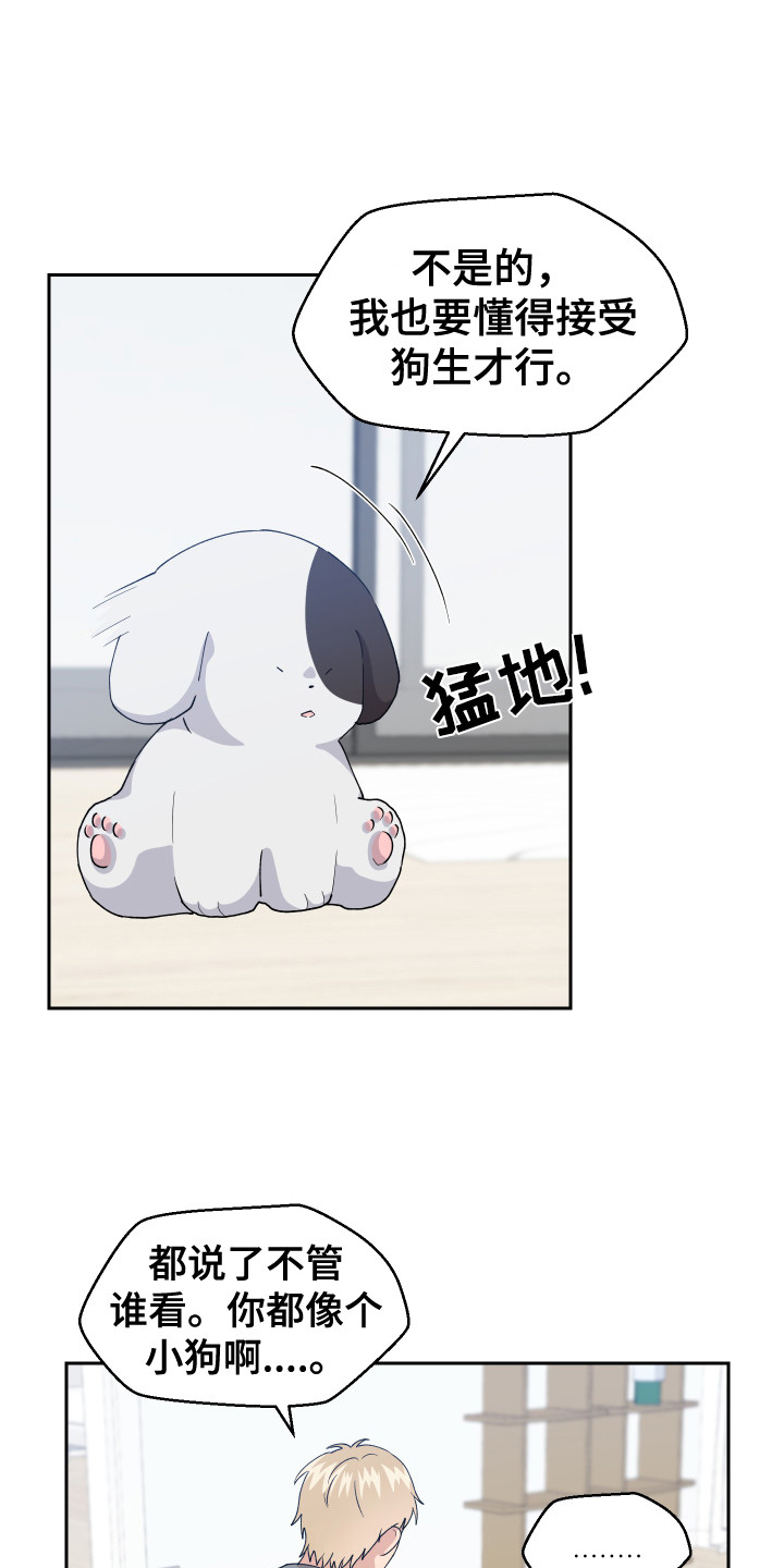 第11章：异常举动18