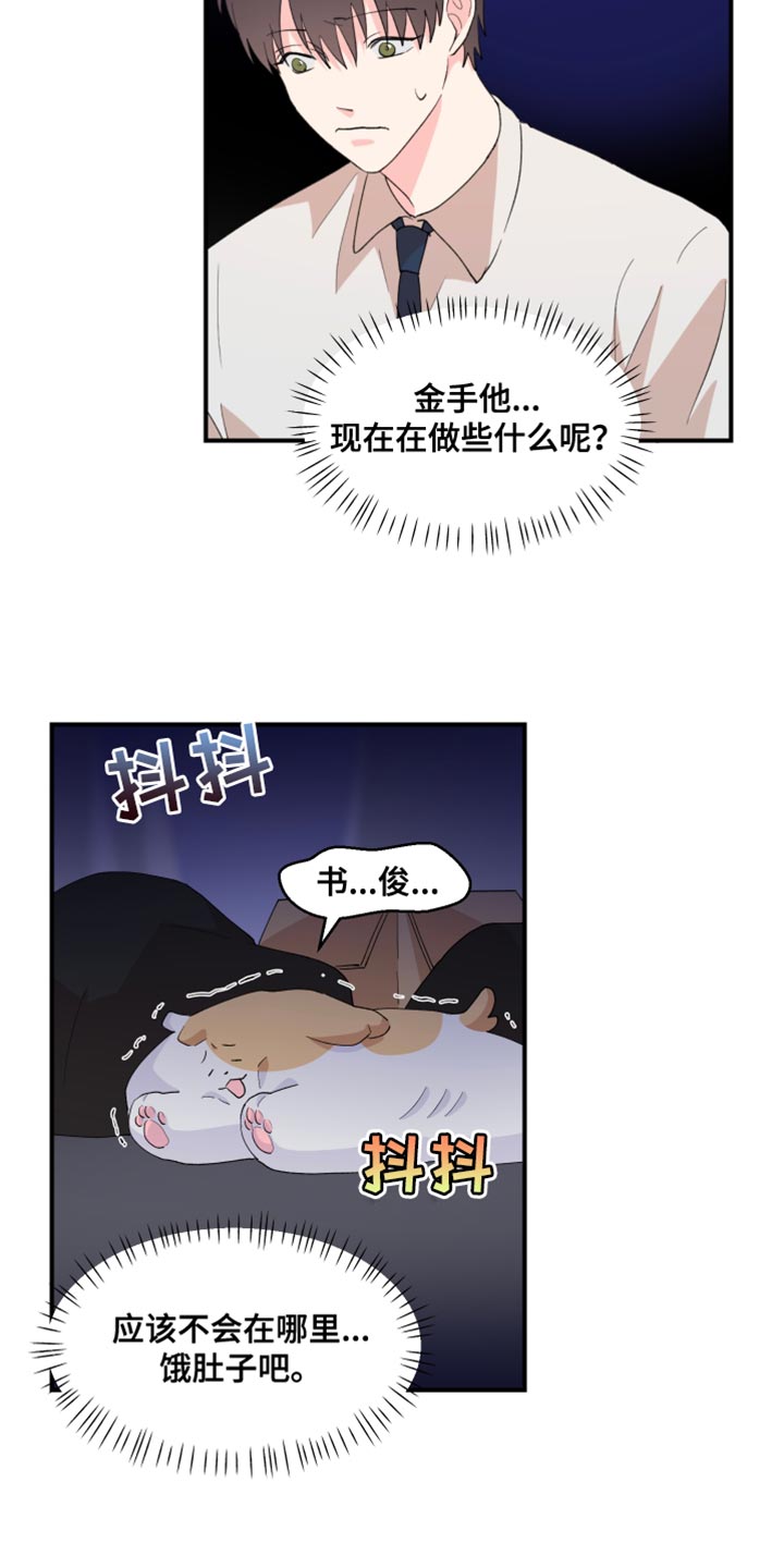 第24章：寻找17