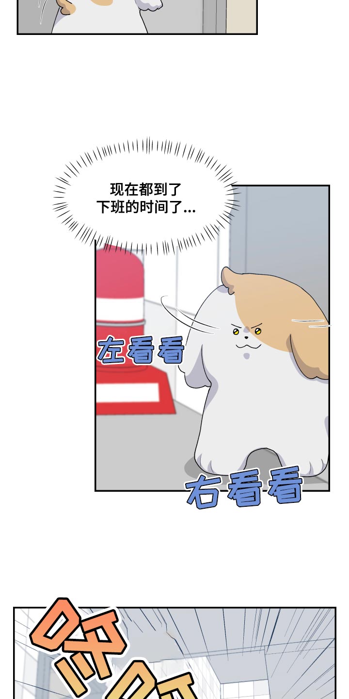 第17章：尾巴6