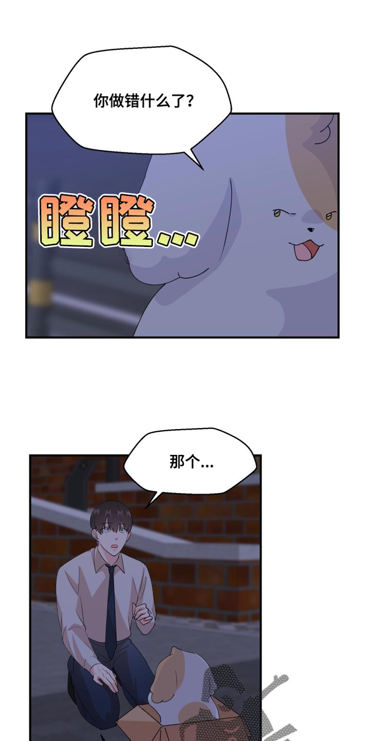 第28章：快许愿11