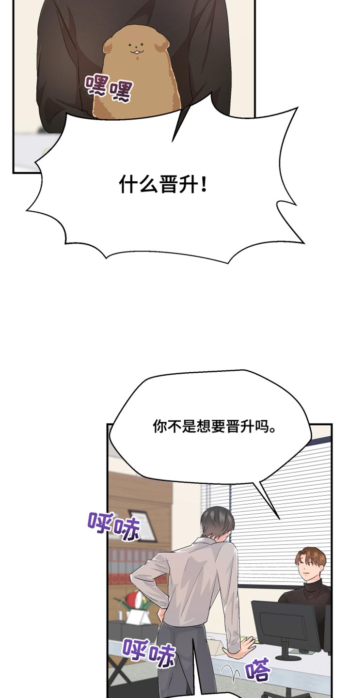 第44章：晋升5