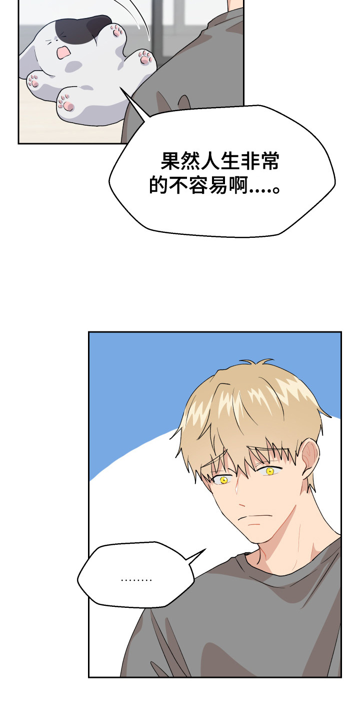 第11章：异常举动17
