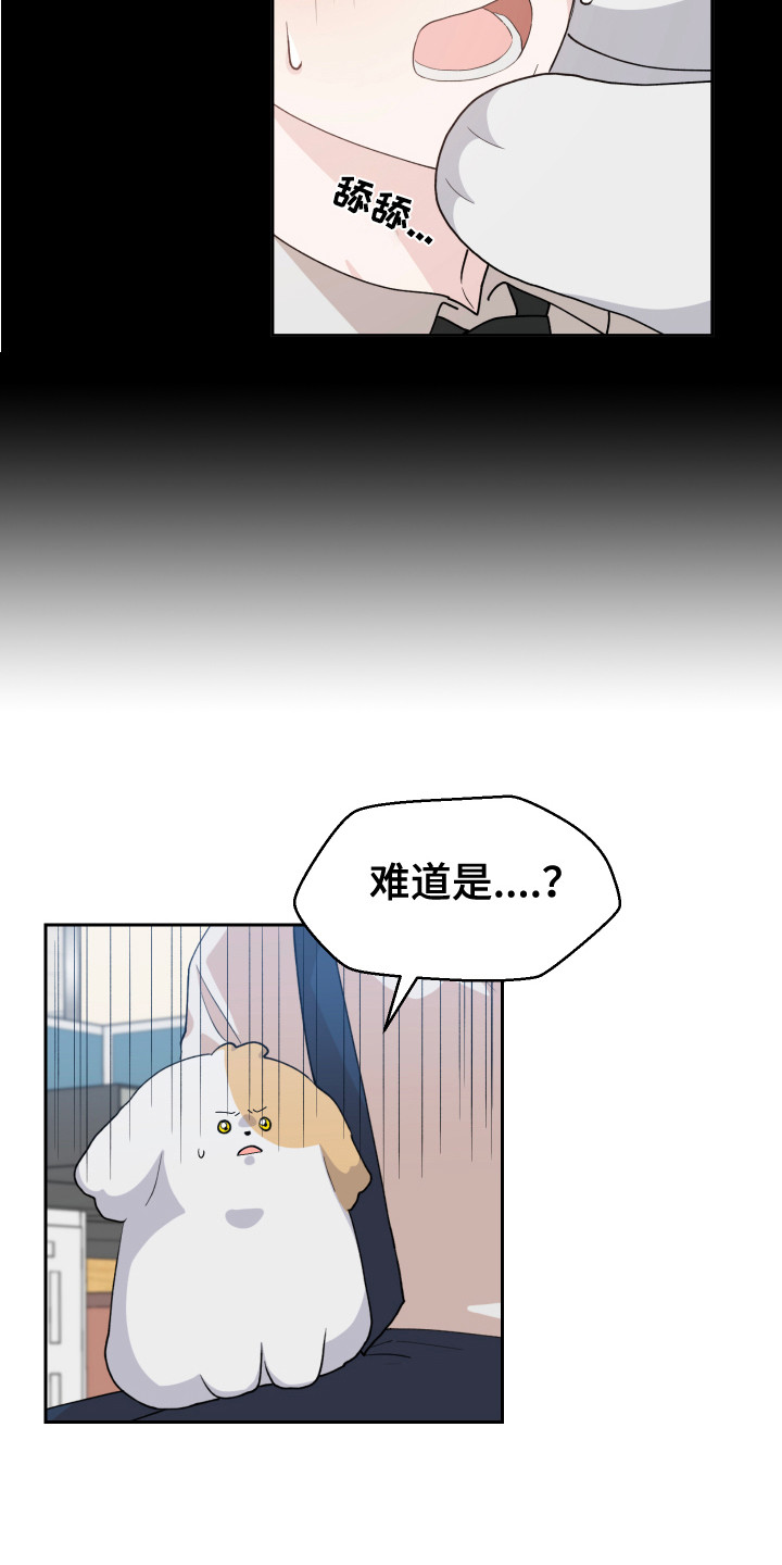 第16章：猜测5