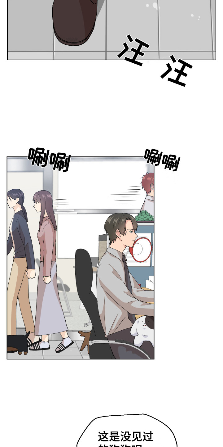第6章：很可爱8