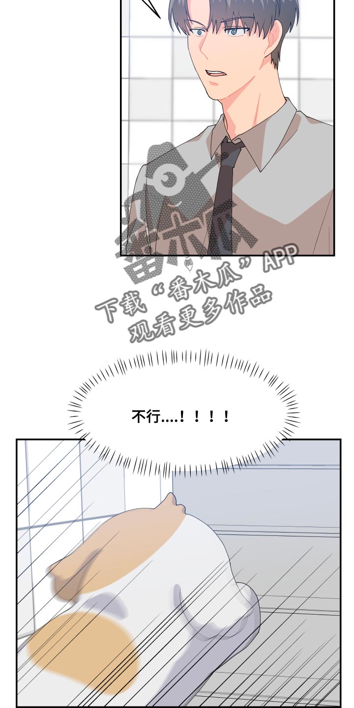 第17章：尾巴11