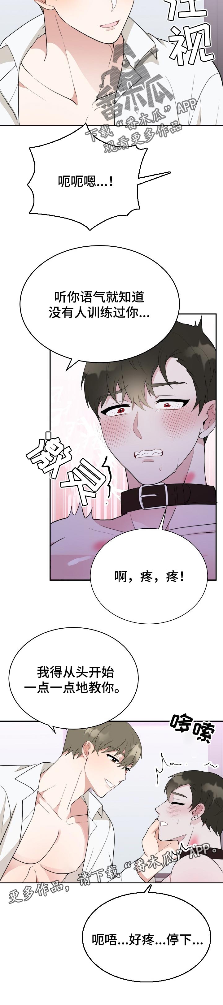 第53章：训练8