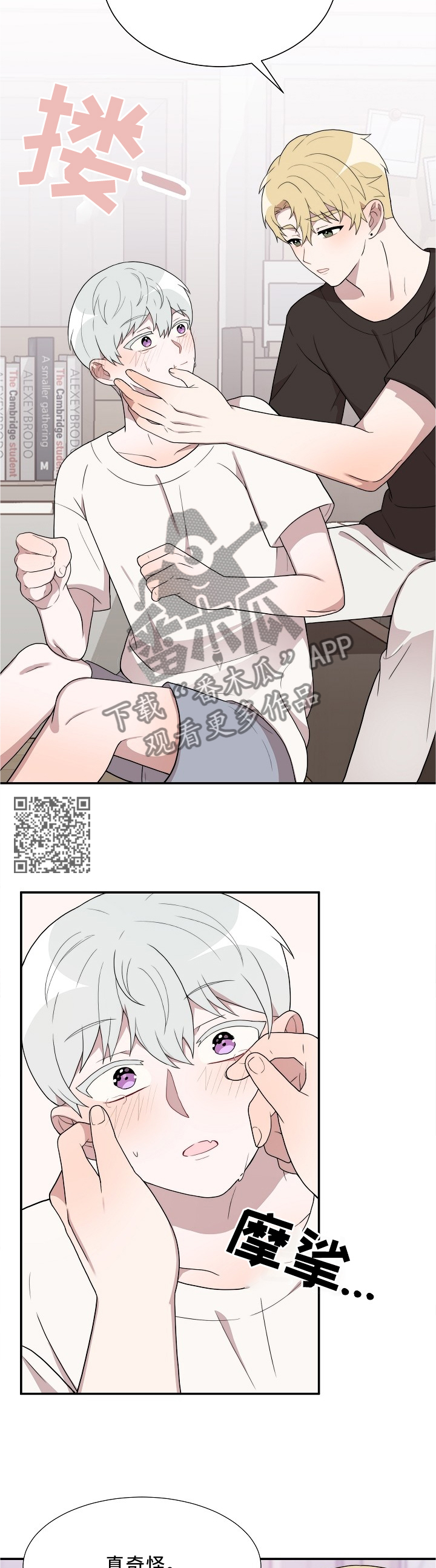第29章：不同的对待4