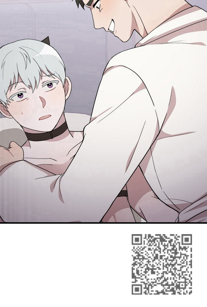 第42章：疯狂11