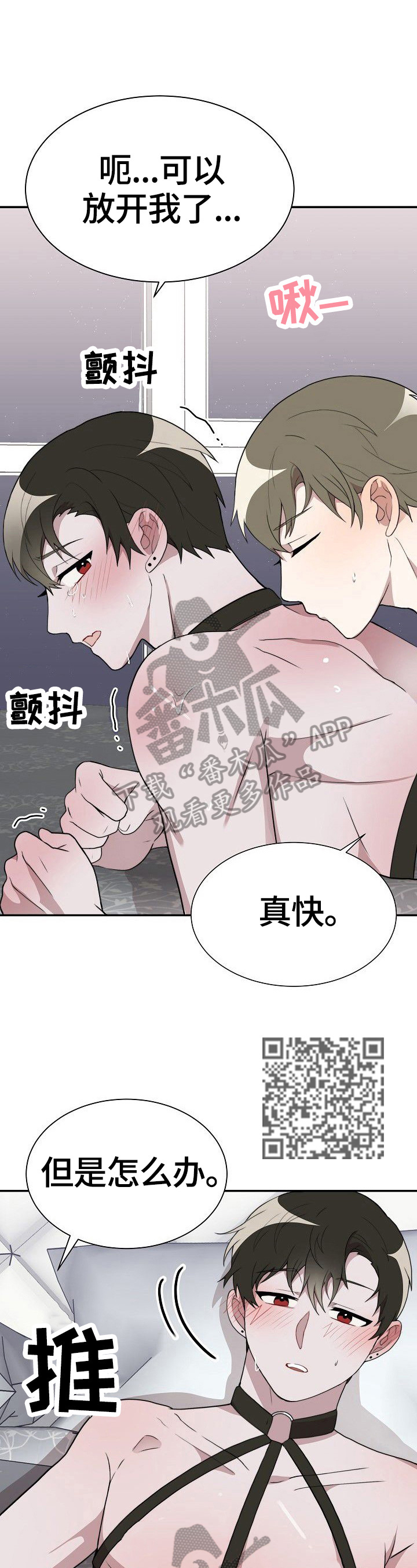 第38章：回味5