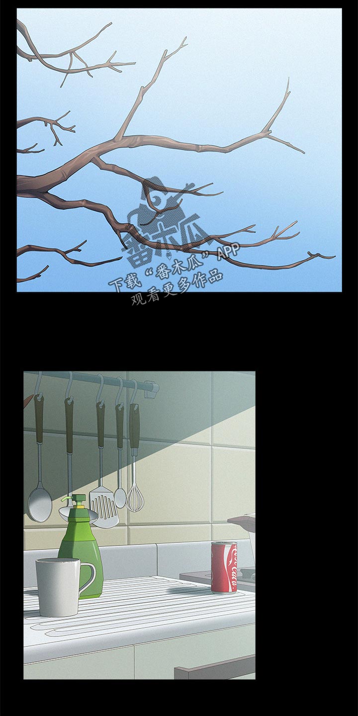 第102章：登记结婚7