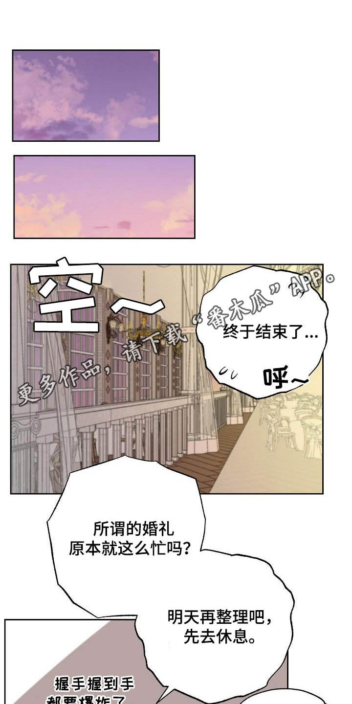 第116章：【番外完结】伴侣0