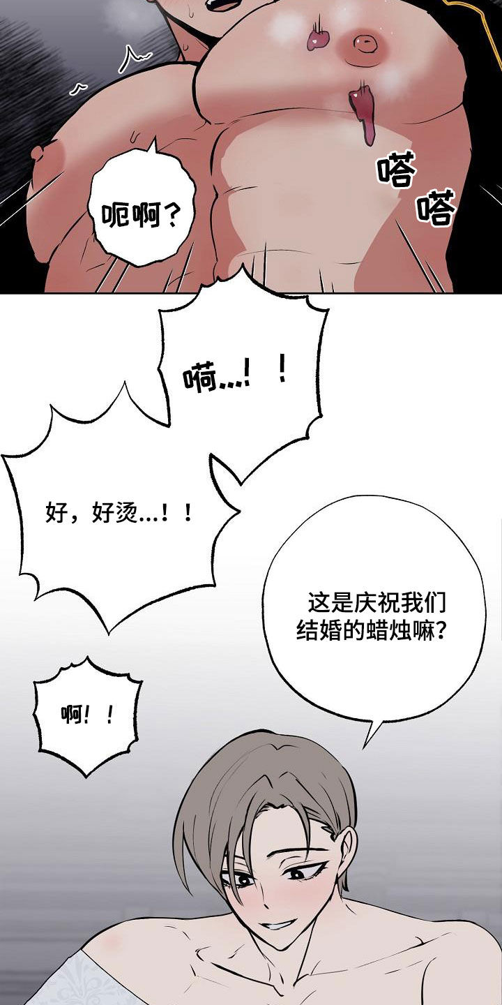 第116章：【番外完结】伴侣7