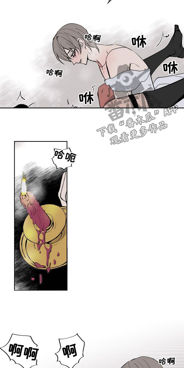 第116章：【番外完结】伴侣10